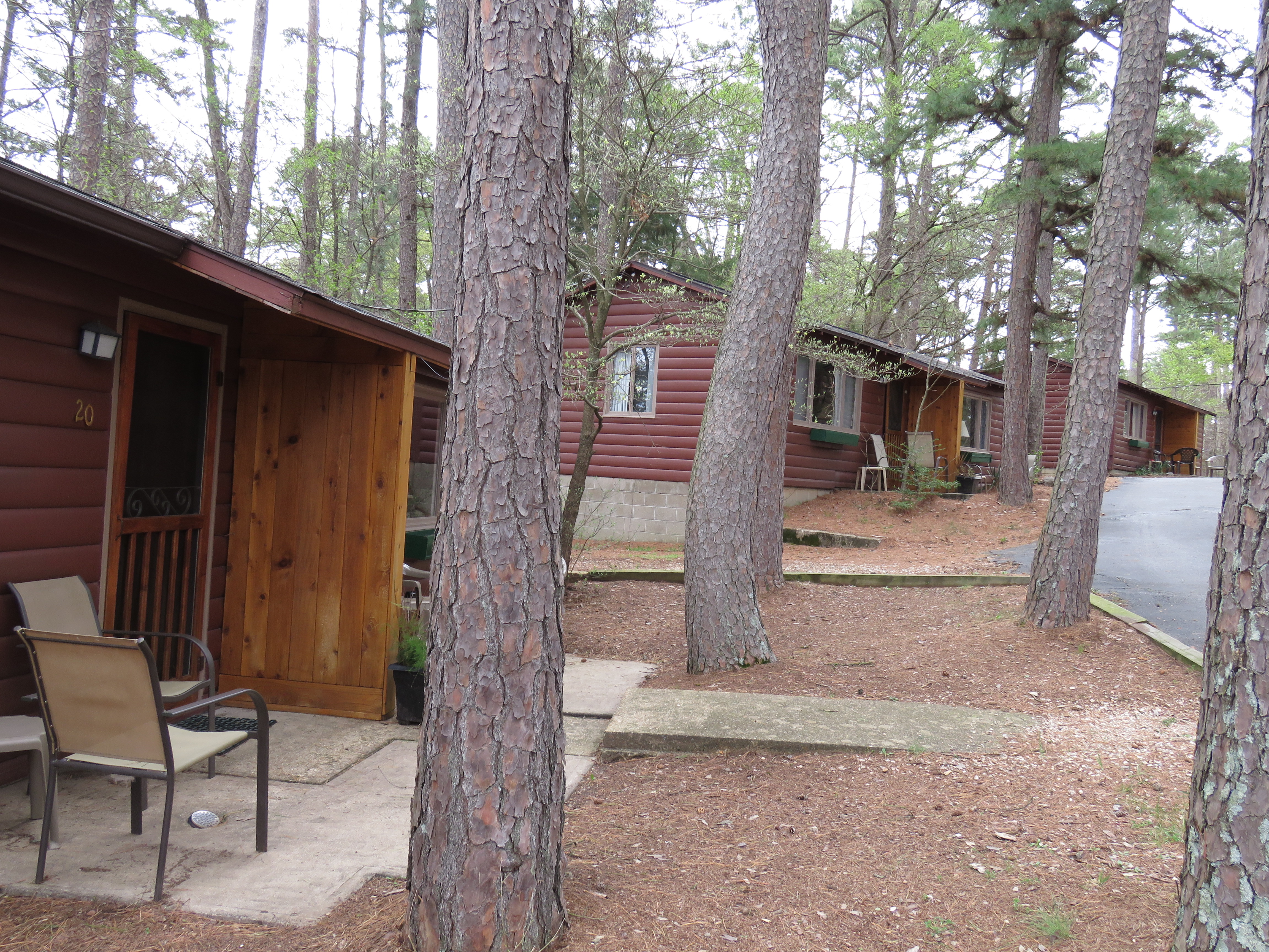 A line of rustic cabins is nestled among tall pine trees. Each cabin has a small porch with a table and chairs and is connected by a stone walkway.