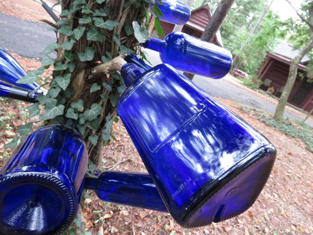 A tree displays several blue glass bottles affixed to its branches.