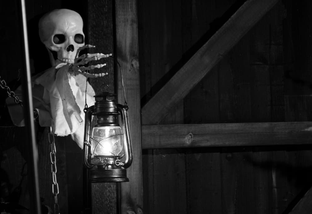 A skeleton reaches towards an old lantern in a dimly lit wooden setting.