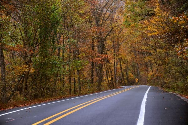 Winding road surrounded by colorful autumn trees.