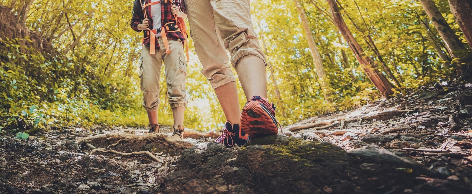 Two hikers navigate a rocky trail in a sunlit forest.