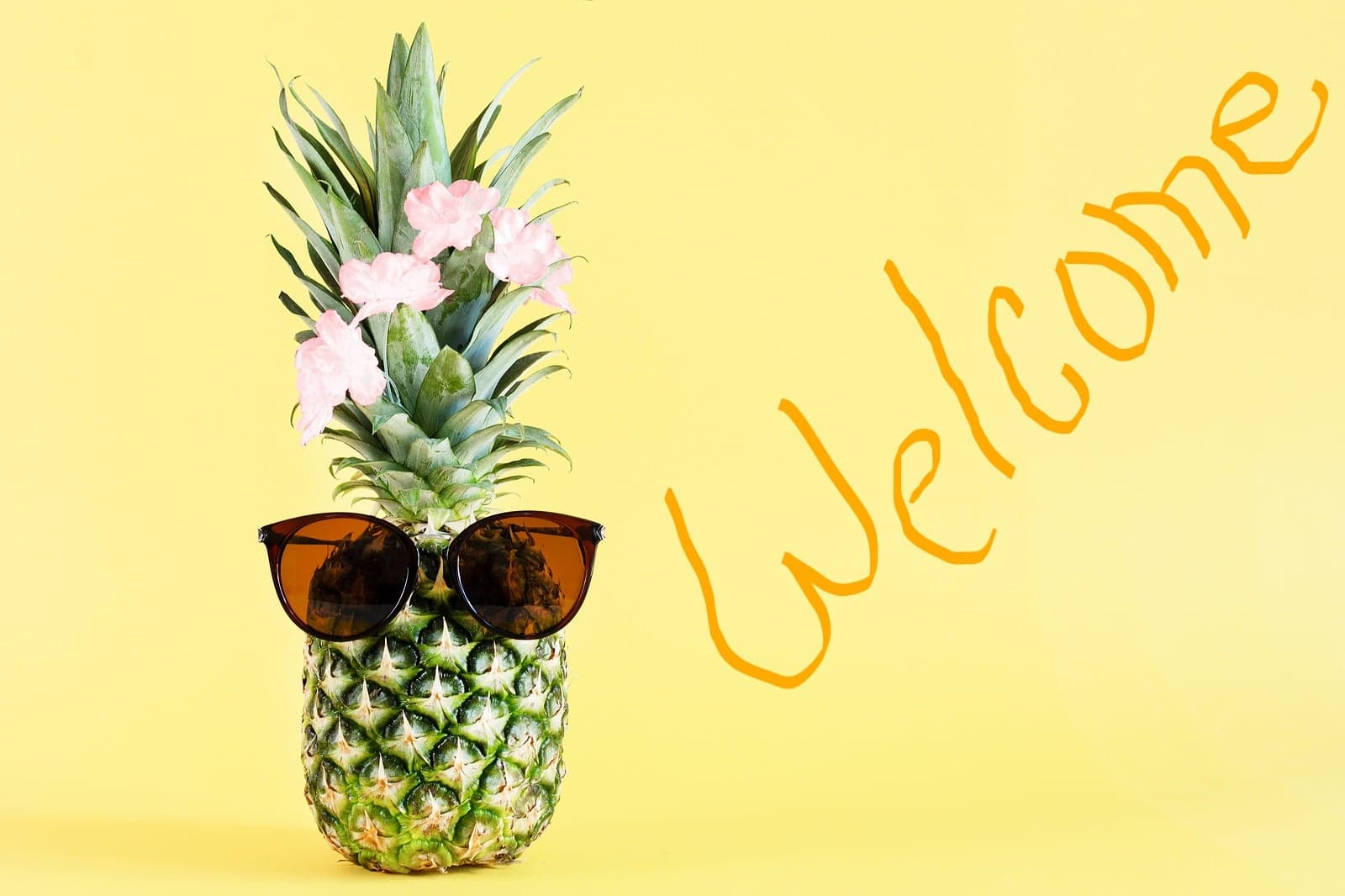 A pineapple wearing sunglasses with flowers on top and the word "Welcome" in orange lettering beside it.