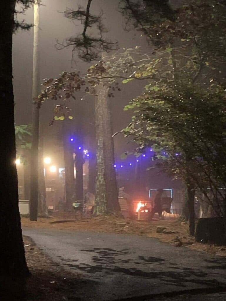 A foggy night scene with trees, illuminated by string lights and a fire pit in the background.