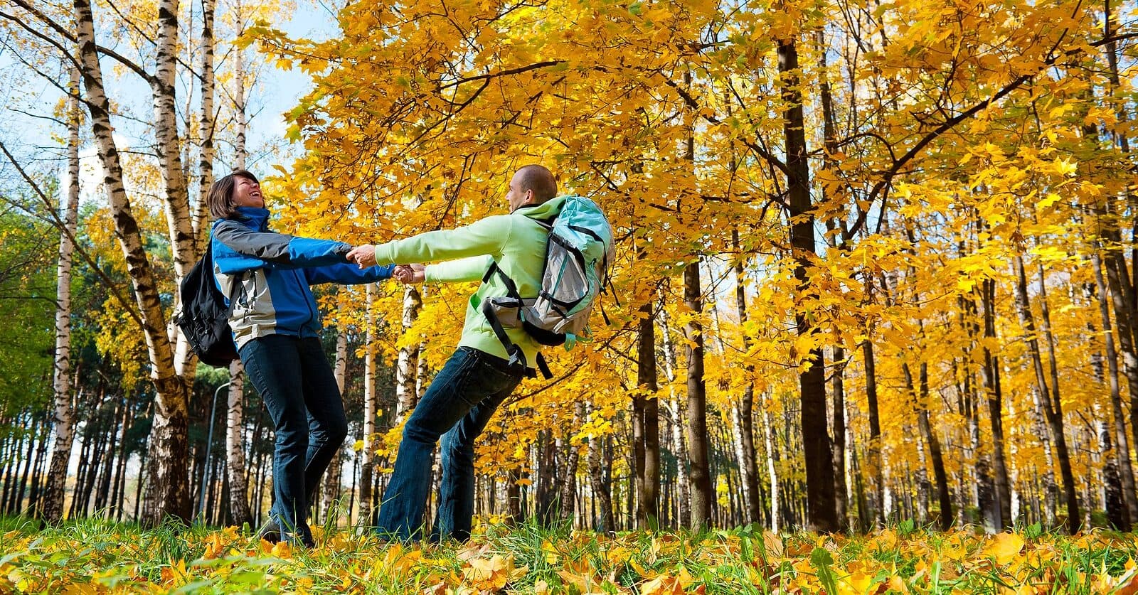 A couple joyfully holds hands in a colorful autumn forest filled with yellow leaves.