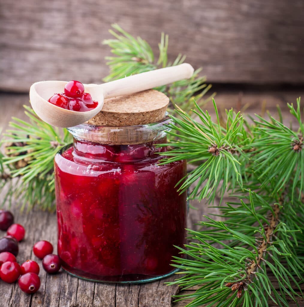 A jar of cranberry jam with a wooden spoon on top, surrounded by fresh cranberries and pine branches.