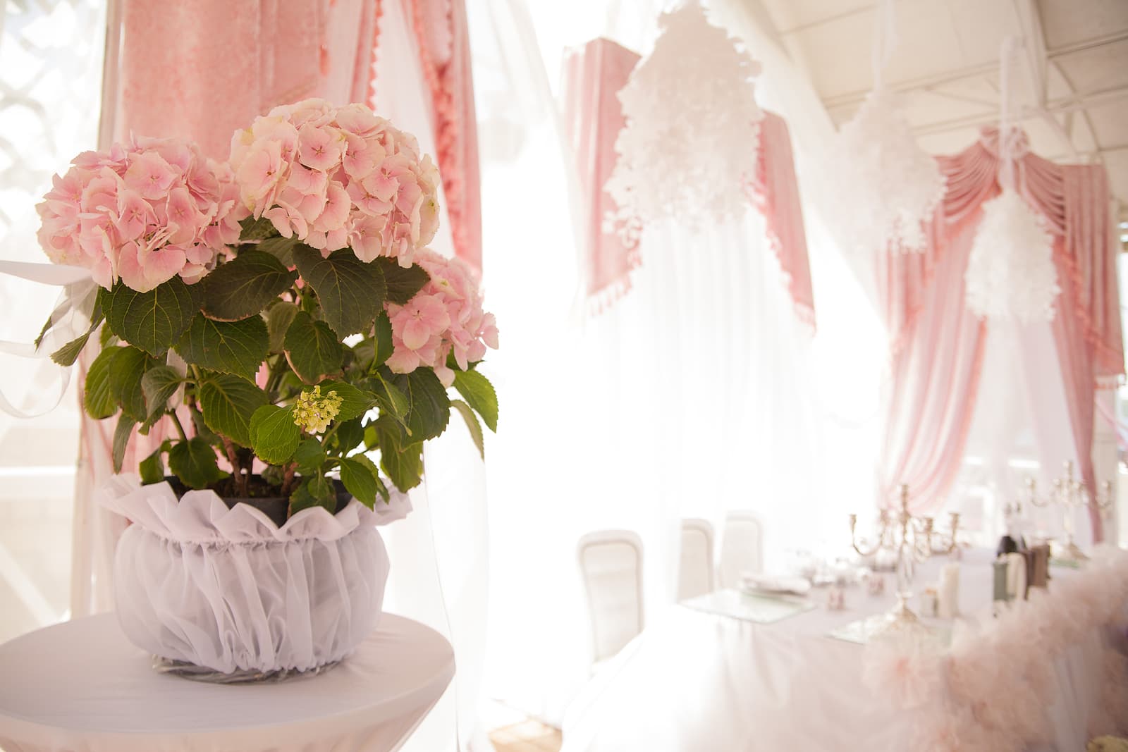 A pink hydrangea plant sits elegantly in a white pot on a table, with a softly decorated event space in the background.
