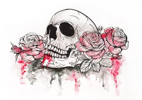 A detailed illustration of a skull surrounded by pink roses and splashes of red ink.