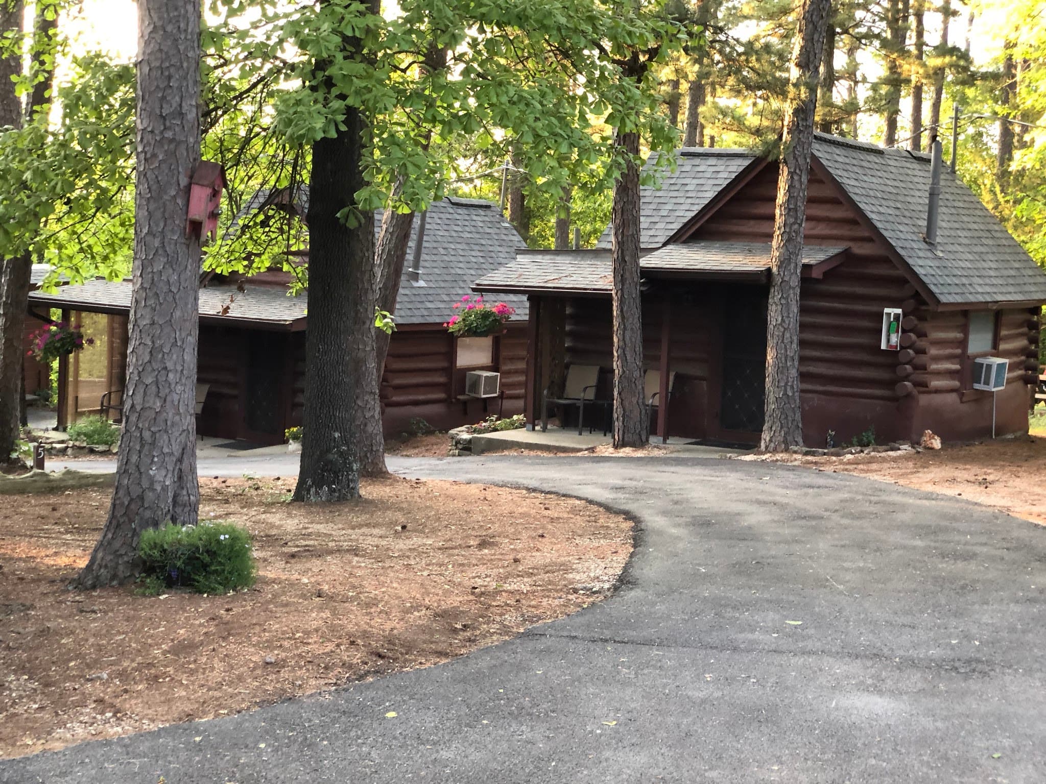 A rustic log cabin nestled among trees with a winding driveway and flower planters.