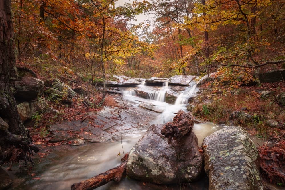 A serene stream cascades over rocks amid vibrant autumn foliage.