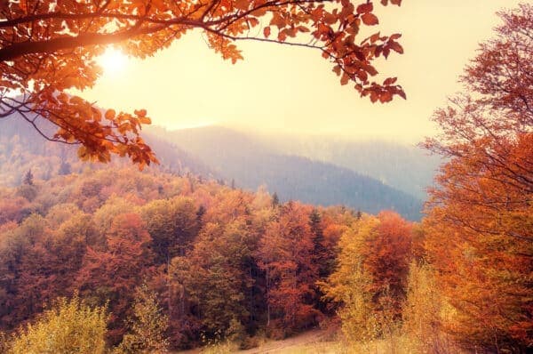 Autumn leaves frame a misty landscape of mountains and colorful forests under a warm sunset.