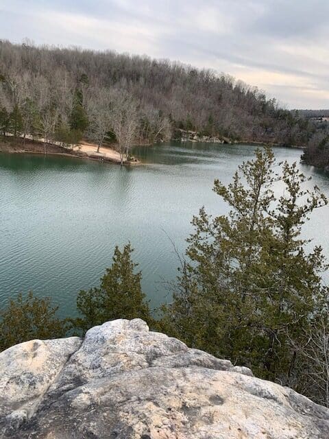 Overlook of Beaver lake and trees