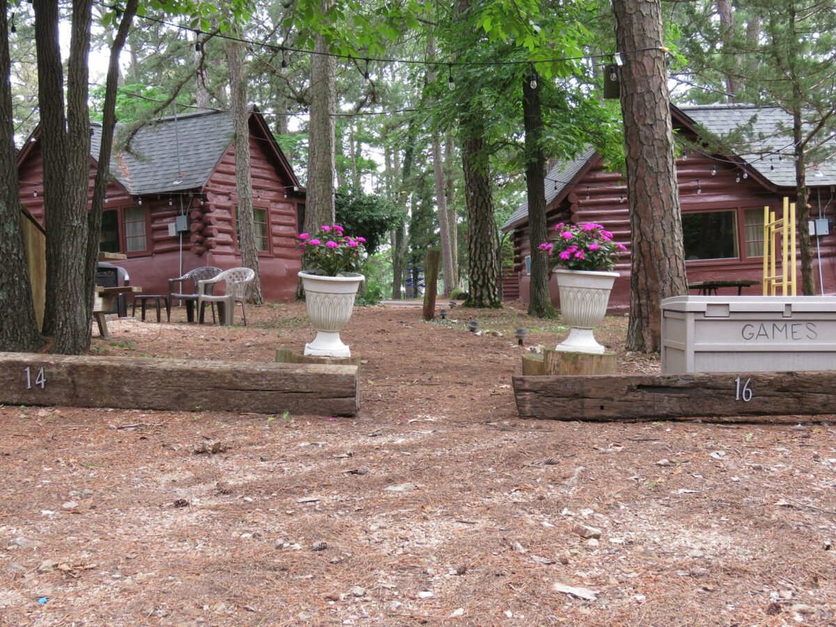 two historic cabins sitting amid tall pine trees with fire pit gathering areas