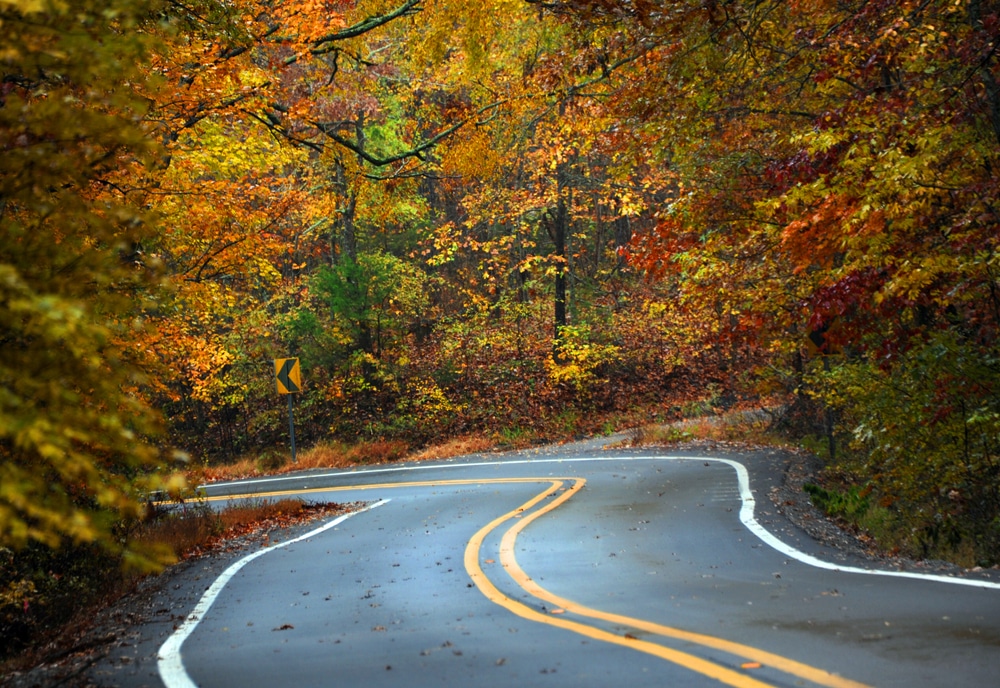 Curvy road winds through the Ozark Mountains on a wet Fall day. Road disappears in the distance.