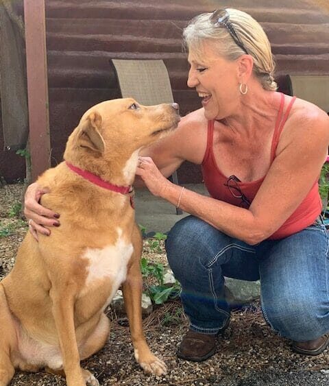 dog and woman looking at each other