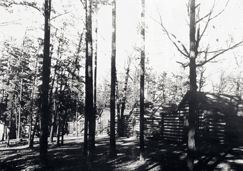 Old cabins in a row with trees among them