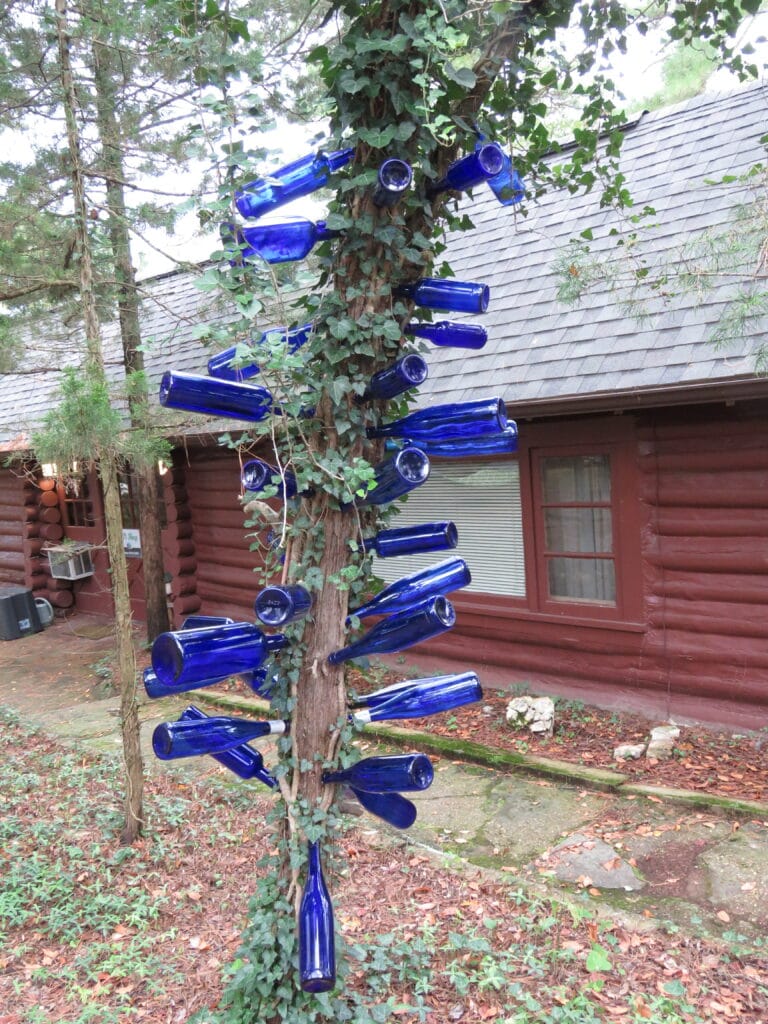 Tree with blue bottle hanging from it